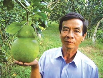 Vo Trung Thanh with a ho lo grapefruit (Photo: SGGP)